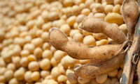 Exportações do agronegócio somam US$ 15,49 bilhões em outubro e registram recorde para o mês