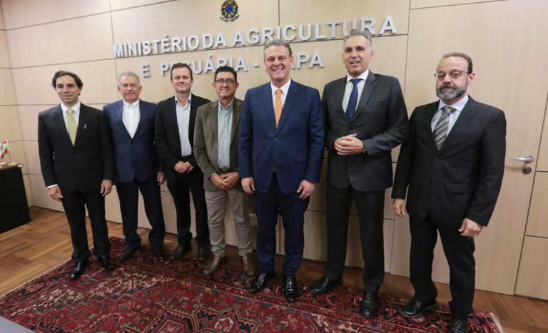 setor_borracha (1).png