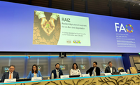 Iniciativa brasileira RAIZ ganha visibilidade internacional em evento da FAO, em Roma
