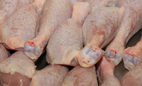 Jordânia e Kuwait reduzem restrições à carne de frango brasileira após missão oficial do Mapa ao Norte da África e Oriente Médio