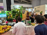 Mapa demonstra a excelência do cacau brasileiro na Chocolat Festival 2025