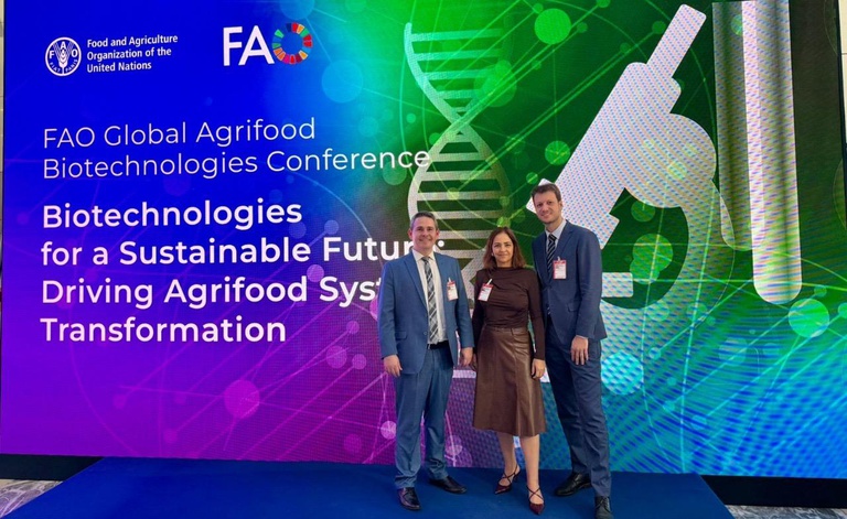 FAO 1.jpg