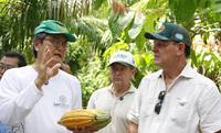 Ministro Fávaro visita sistemas agroflorestais em Tomé-Açu