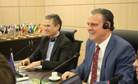 União Europeia reconhece Brasil como livre de gripe aviária e autoriza retomada das exportações de frango