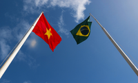 Vietnã abre caminho para facilitação do comércio de couro brasileiro