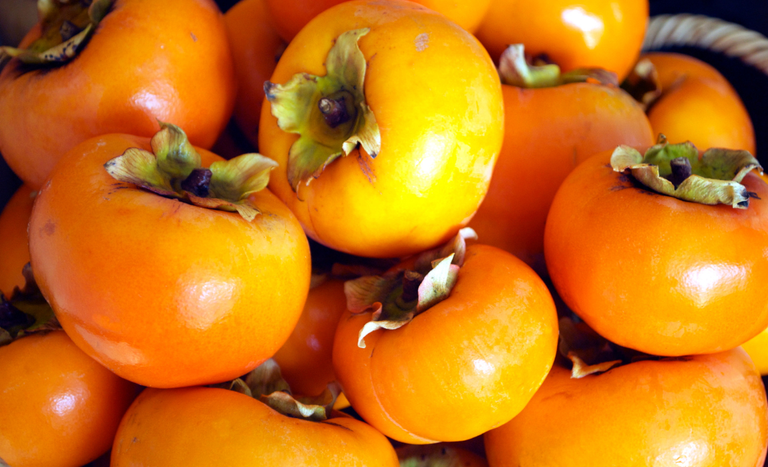 CAPA SITE 1150 X 700 (1).png