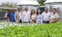Missão do Mapa abre novas oportunidades de cooperação em genética vegetal, pesquisa agrícola, cacau, fertilizantes e comércio agropecuário no Caribe