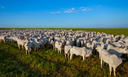 CAPA (1150 x 700 px) (2).png