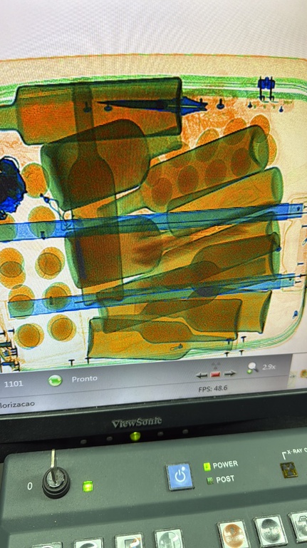 Mapa intercepta ovos embrionados sem certificação sanitária no Aeroporto do Galeão (3).jpeg