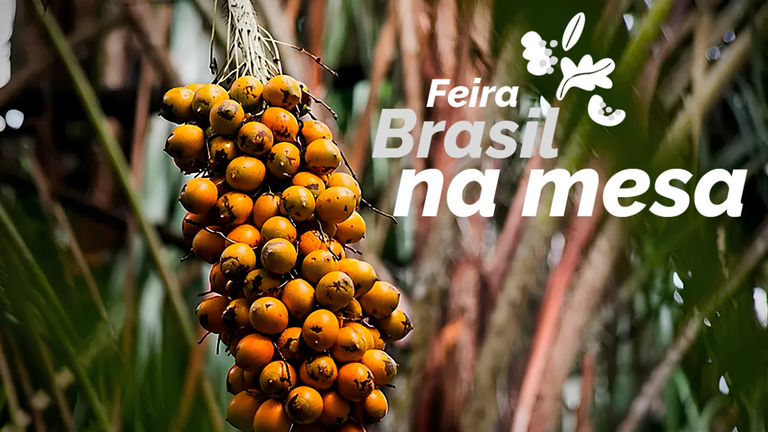 BRASIL-NA-MESA-COM-MARCA.png