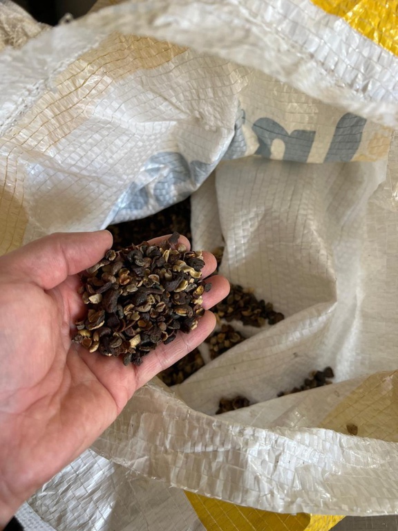 Operação conjunta apreende mais de 82 mil quilos de produtos irregulares relacionados à produção de café torrado (6).jpeg