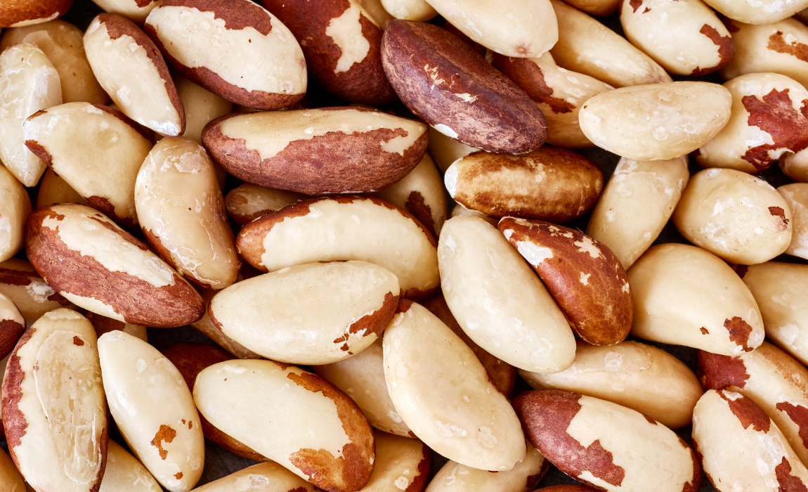 Com este anúncio, o agronegócio brasileiro alcança 535 aberturas de mercado desde o início de 2023