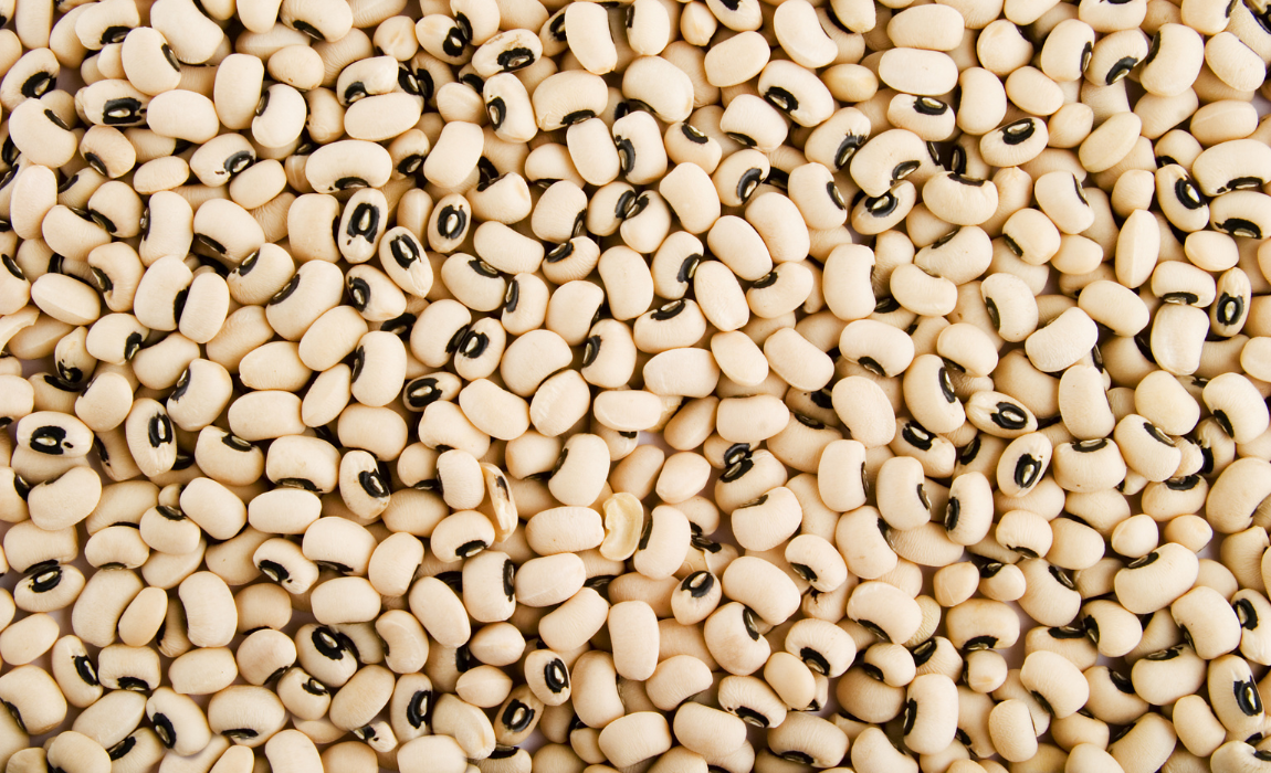 Com estes anúncios, o agronegócio brasileiro alcança 519 novas oportunidades desde o início de 2023