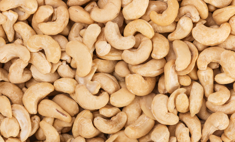 CAPA SITE 1150 X 700 (1).png