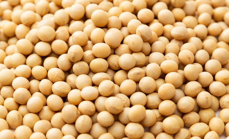 CAPA (1150 x 700 px) (1).png