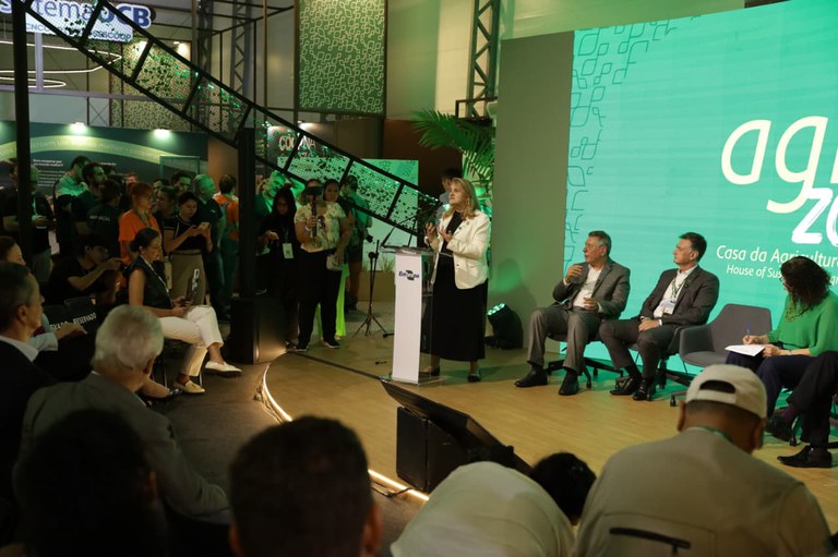 WhatsApp Image 2025-11-11 at 19.52.47.jpeg