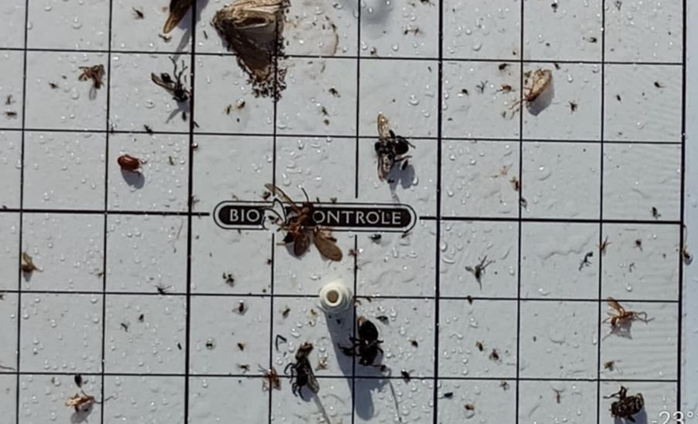 armadilhas-MAPA (1).png