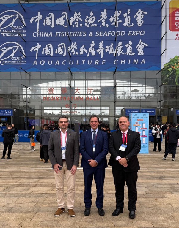 WhatsApp Image 2025-11-03 at 17.36.08.jpeg