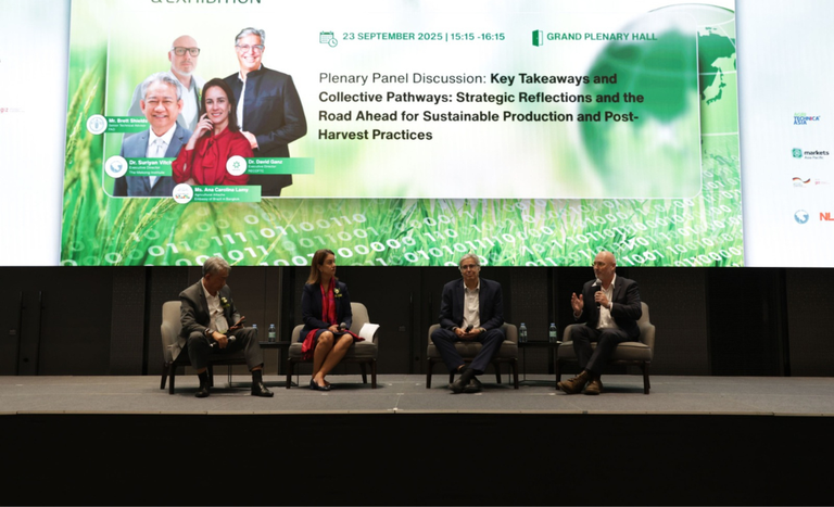 Tailândia_2025 (2).png