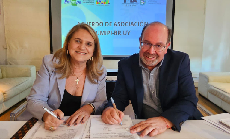 eMBRAPA_INIA (3).png