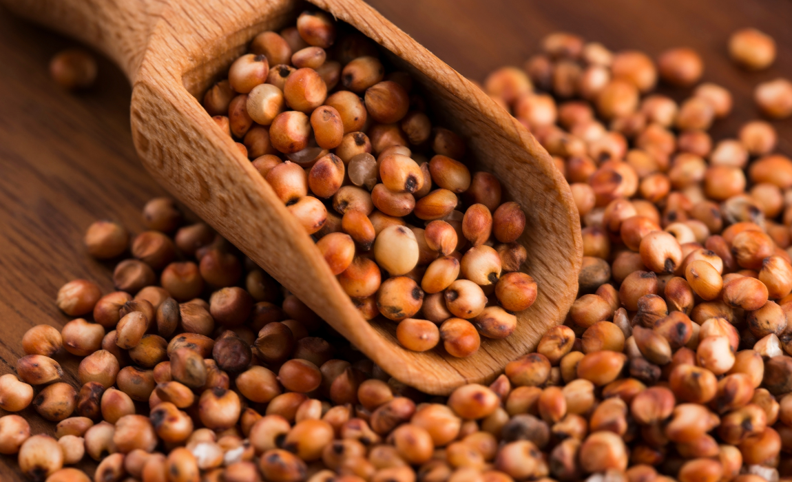 Cinco plantas de etanol de milho e dez unidades de sorgo recebem aval chinês; medida amplia oportunidades para as cadeias de grãos e biocombustíveis