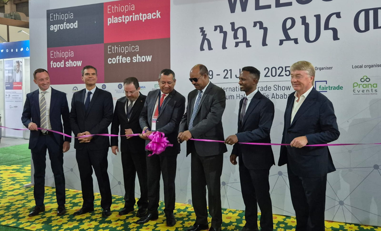Agrofood Ethiopia (2).png