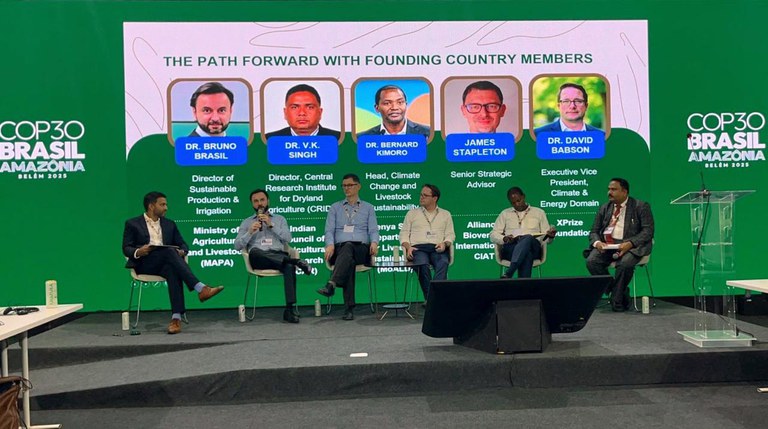 WhatsApp Image 2025-11-15 at 19.16.17.jpeg