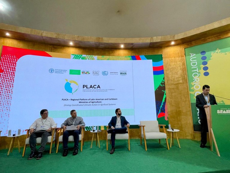 WhatsApp Image 2025-11-19 at 19.35.22.jpeg