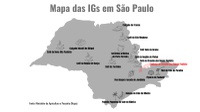 Cachaça de alambique do Circuito das Águas Paulista recebe Indicação Geográfica
