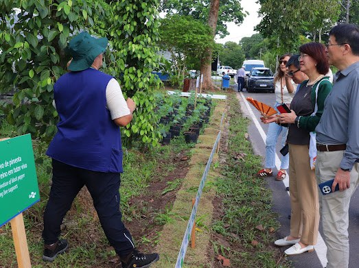 WhatsApp Image 2025-11-18 at 20.04.31.jpeg