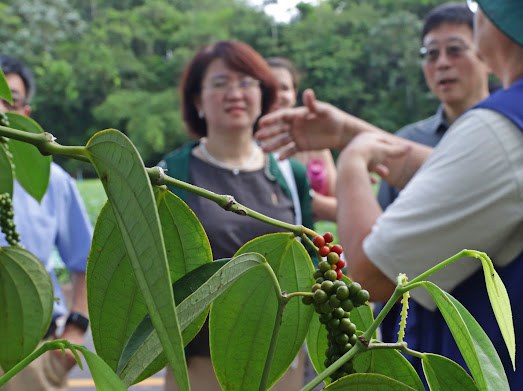 WhatsApp Image 2025-11-18 at 20.04.33.jpeg