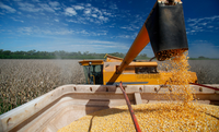 Crédito rural para a agricultura empresarial soma R$ 107,1 bilhões nos três primeiros meses da safra 2026/2027