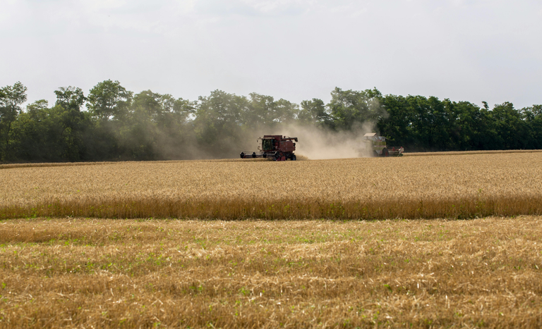 CAPA SITE 1150 X 700 (2).png