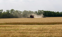 Crédito rural para a agricultura empresarial soma R$ 28,2 bilhões no primeiro mês da safra 2026/2027