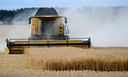 CAPA SITE 1150 X 700 (2).png