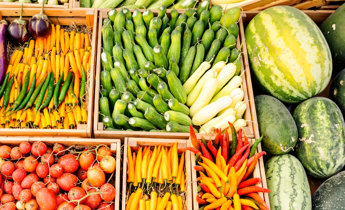 Portaria interministerial define as instituições habilitadas a certificar práticas sustentáveis nos programas PI Brasil, BPA e Produção Orgânica, integrando as informações à Plataforma Agro Brasil + Sustentável