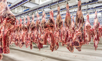 Mais 38 frigoríficos brasileiros podem exportar carnes para a China