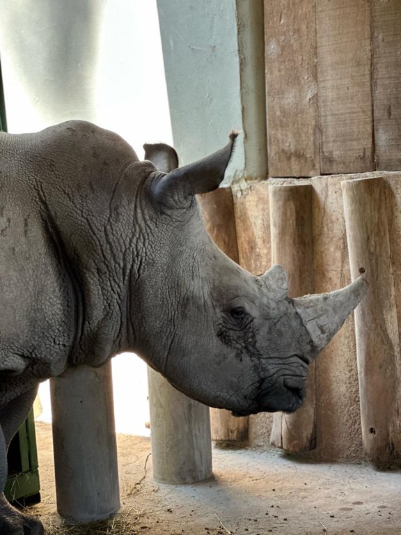 WhatsApp Image 2025-12-11 at 11.15.54 (3).jpeg