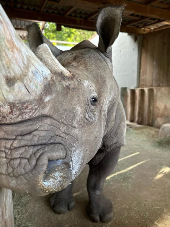 WhatsApp Image 2025-12-11 at 11.15.54.jpeg