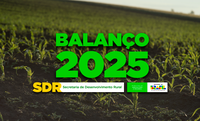 Ações da Secretaria de Desenvolvimento Rural fortaleceram a produção rural, ampliaram a governança climática e impulsionaram a inovação no campo