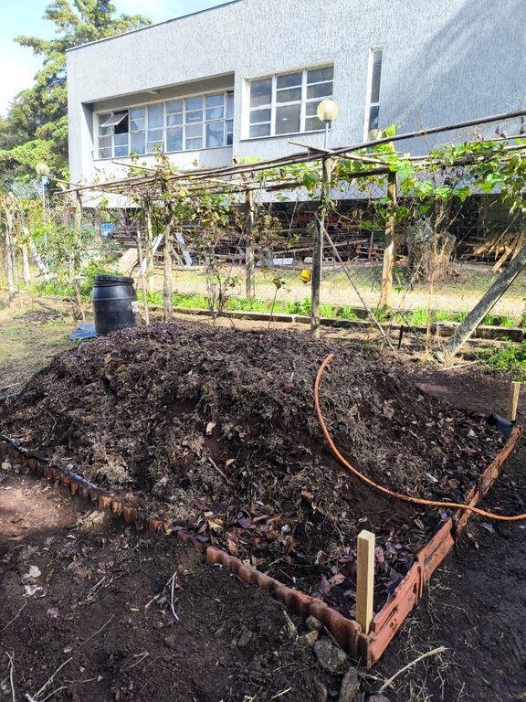 Café_compostagem_2.jfif