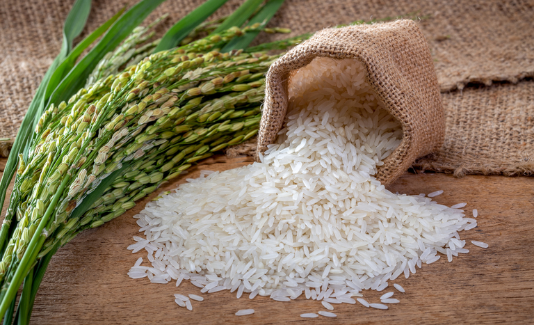 CAPA (1150 x 700 px) (1).png