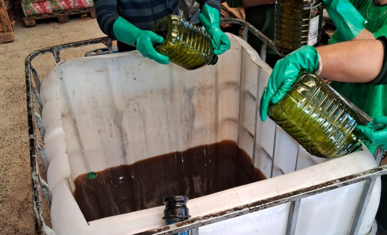 Azeites-destruicao (2).png