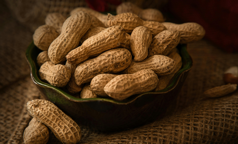 CAPA (1150 x 700 px).png