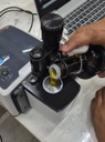 Ferramenta portátil permitiu identificar, em tempo real, indícios de adulteração em produtos comercializados em redes atacadistas