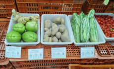 Operações ocorrem no interior e no litoral para garantir conformidade e proteger produtores e consumidores