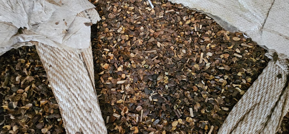 Somente em 2025, as fiscalizações realizadas no Paraná já apreenderam 40 toneladas de café torrado e moído, volume equivalente a 80 mil pacotes de 500 gramas