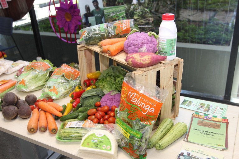 WhatsApp Image 2025-07-08 at 13.43.23.jpeg