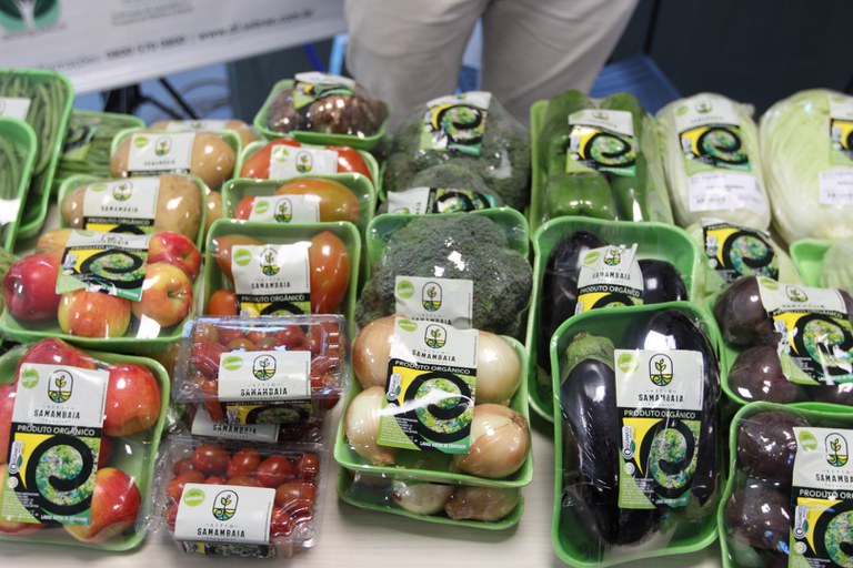 WhatsApp Image 2025-07-08 at 13.43.25.jpeg