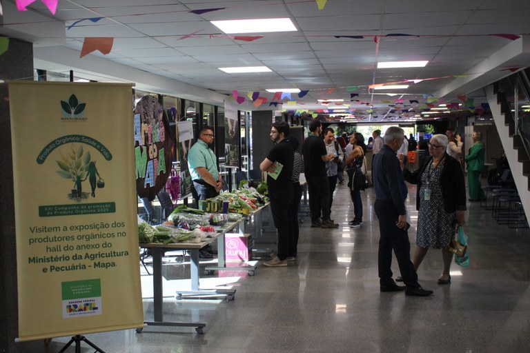 WhatsApp Image 2025-07-08 at 13.43.29.jpeg